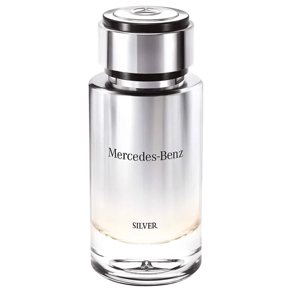 Mercedes Benz Silver